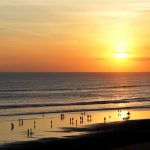 5 Things to Do in Seminyak Beyond the Beach